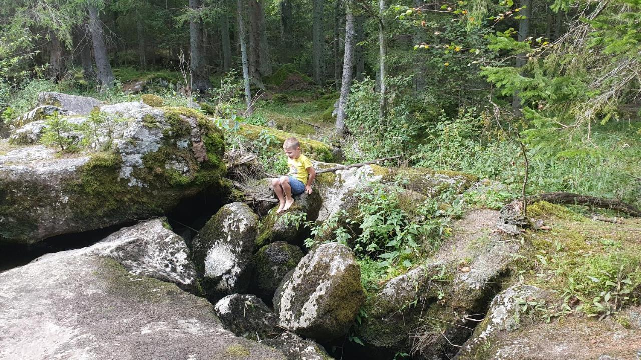 Ferienhaus Buxbaum Arbesbach Luaran gambar
